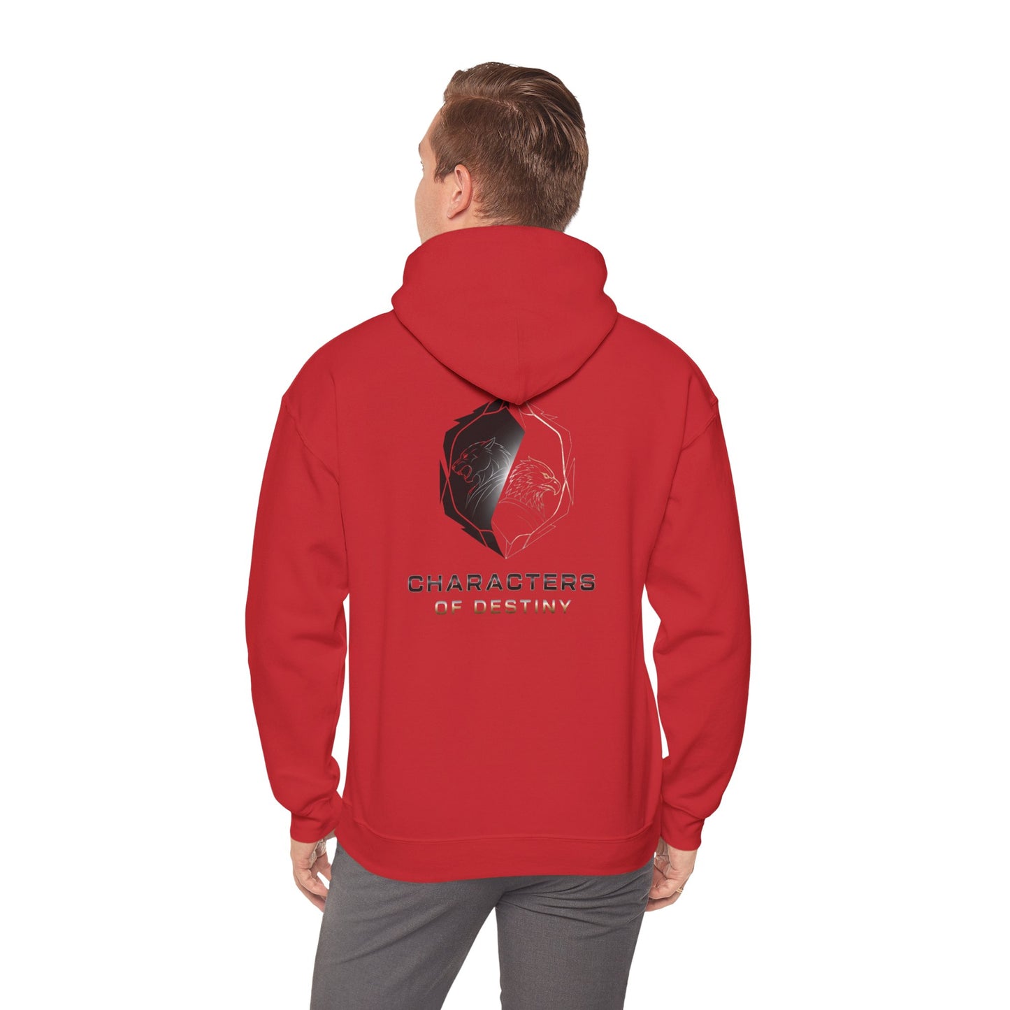 Characters of Destiny: Shadow & Light Emblem — Unisex Heavy Blend Hoodie