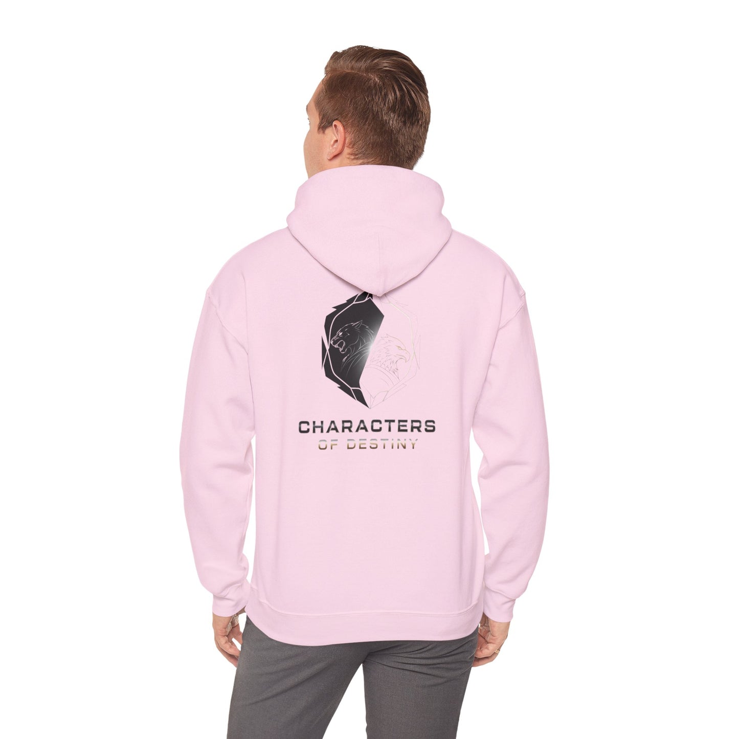 Characters of Destiny: Shadow & Light Emblem — Unisex Heavy Blend Hoodie