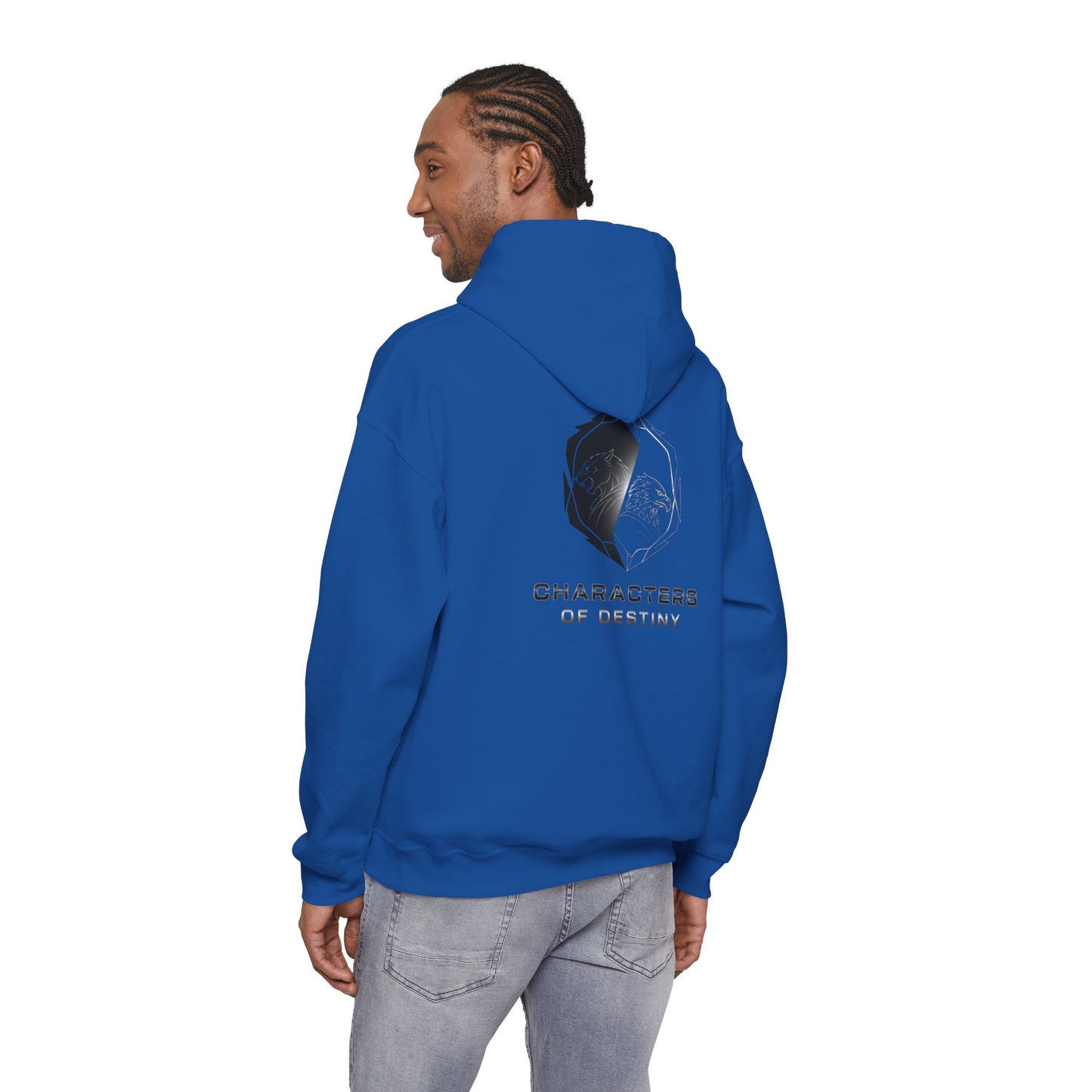 Characters of Destiny: Shadow & Light Emblem — Unisex Heavy Blend Hoodie