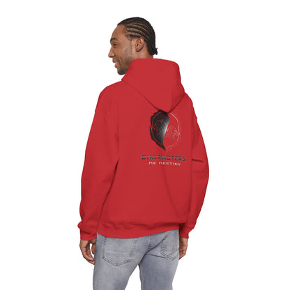 Characters of Destiny: Shadow & Light Emblem — Unisex Heavy Blend Hoodie