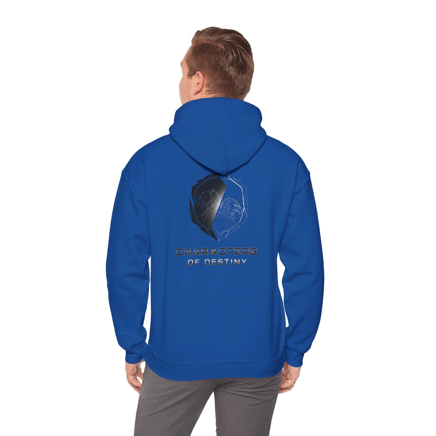 Characters of Destiny: Shadow & Light Emblem — Unisex Heavy Blend Hoodie