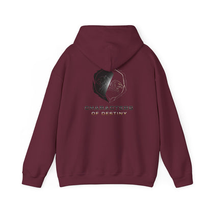 Characters of Destiny: Shadow & Light Emblem — Unisex Heavy Blend Hoodie