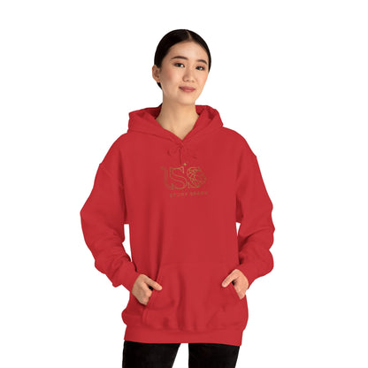 Aurora & Leo ــــ Heavy Blend Hoodie
