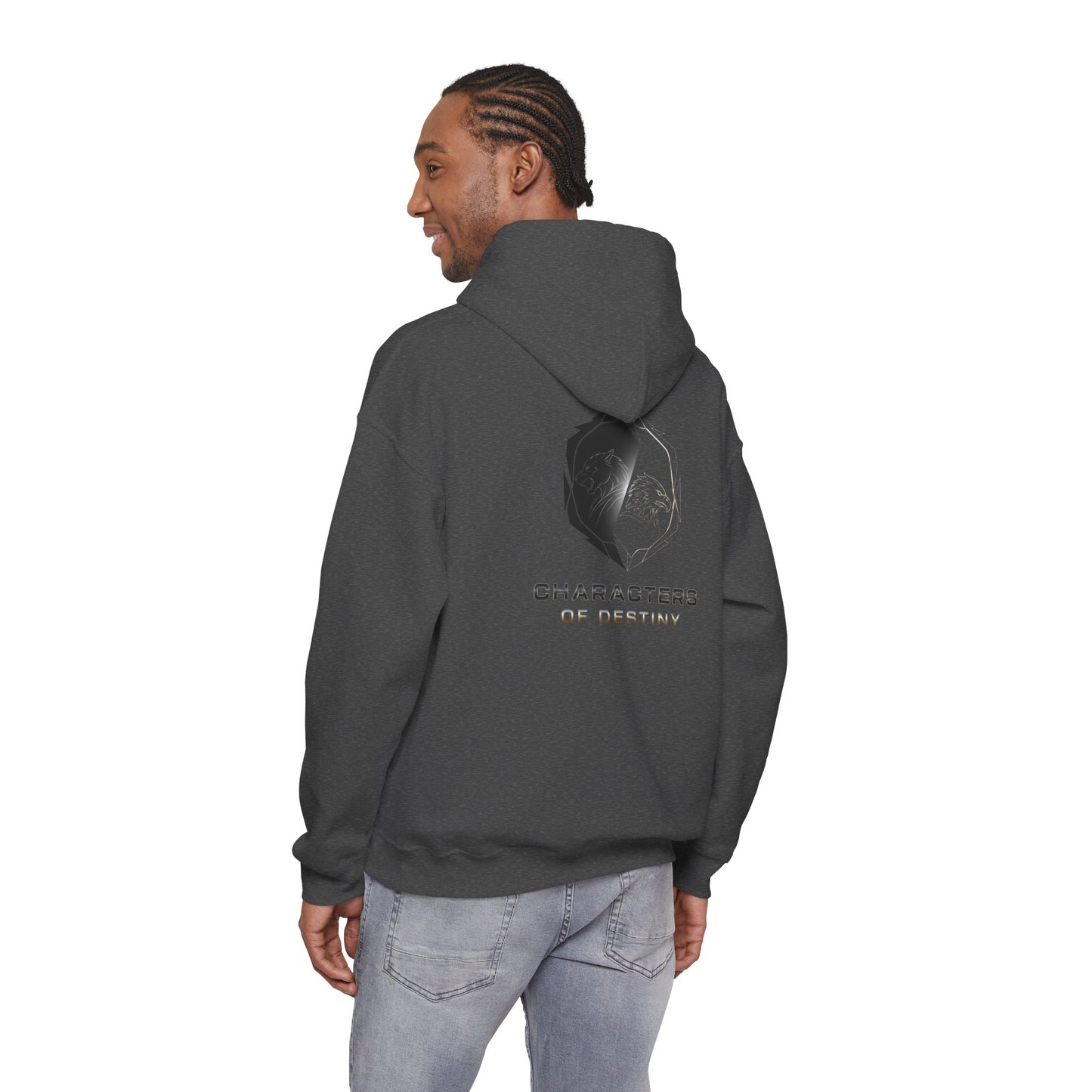 Characters of Destiny: Shadow & Light Emblem — Unisex Heavy Blend Hoodie