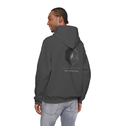 Characters of Destiny: Shadow & Light Emblem — Unisex Heavy Blend Hoodie